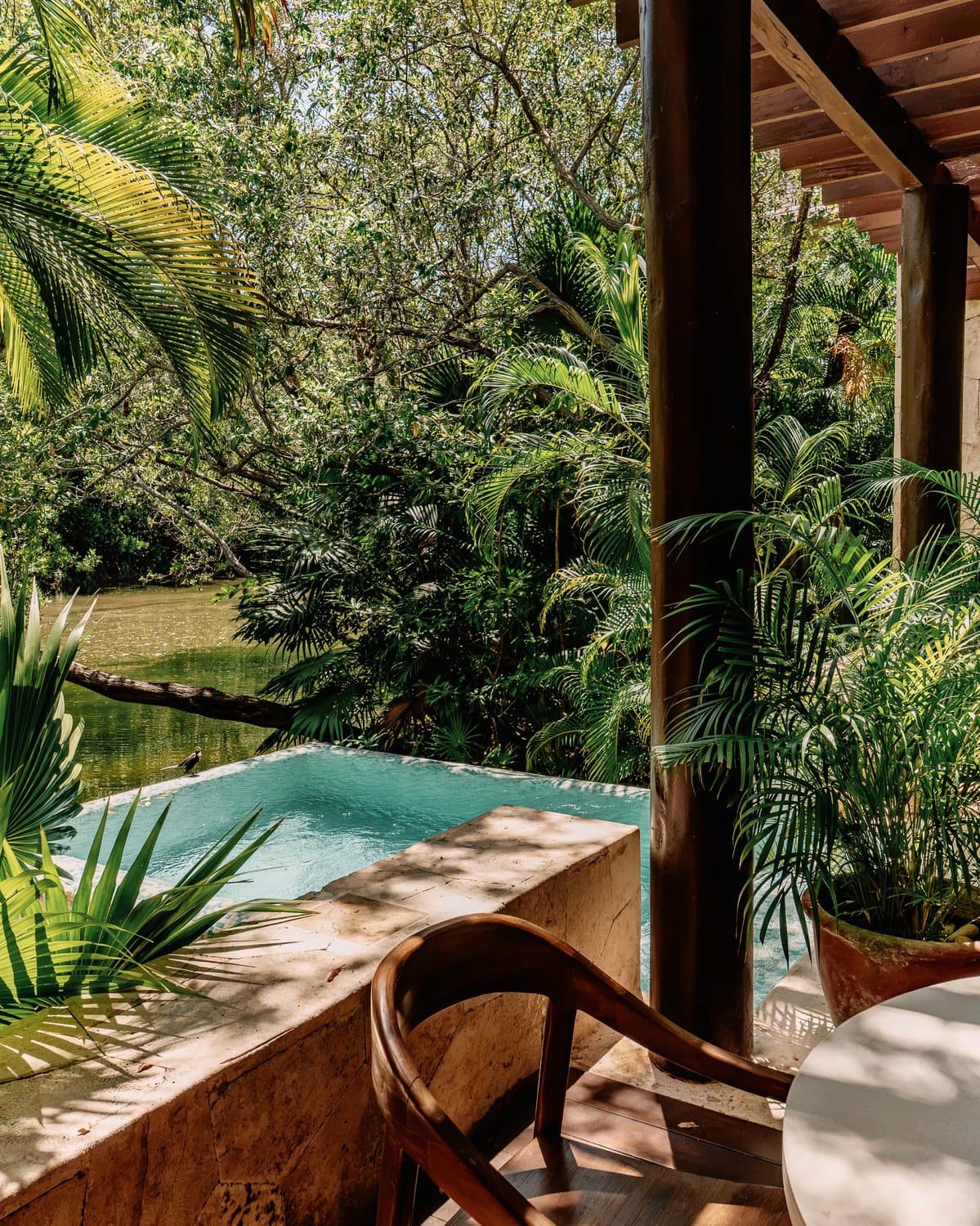 A plunge pool among the palms at Fairmont Mayakoba